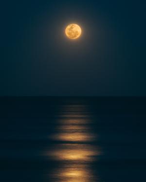 海上的明月