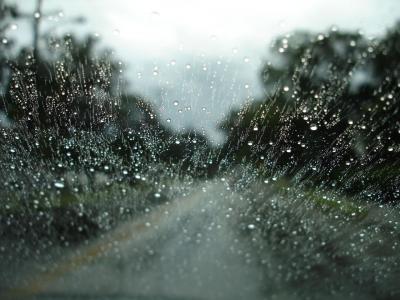 雨季图片