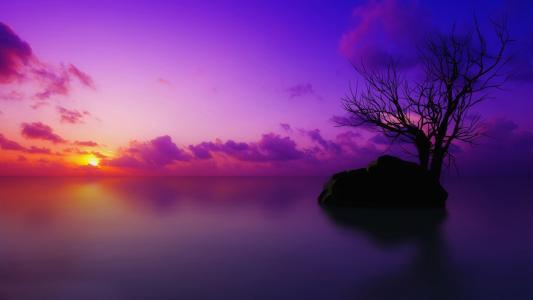 高清紫色日落