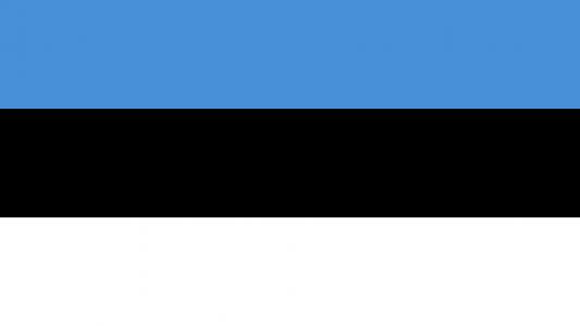 简单的爱沙尼亚国旗壁纸