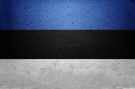爱沙尼亚国旗壁纸背景