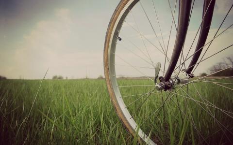 可爱的自行车车轮壁纸