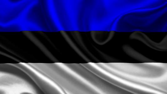 爱沙尼亚国旗壁纸