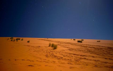 夜景下的撒哈拉沙漠