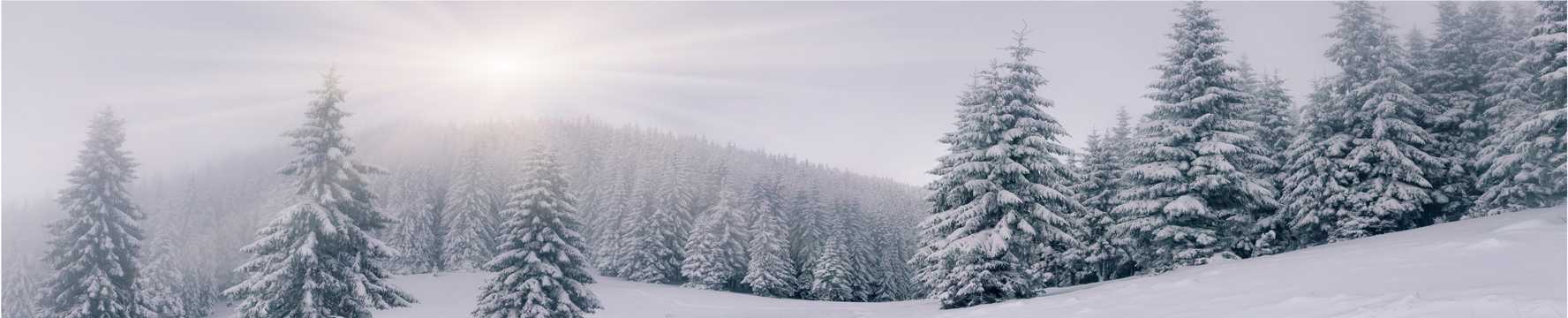 冬日雪地景色图片
