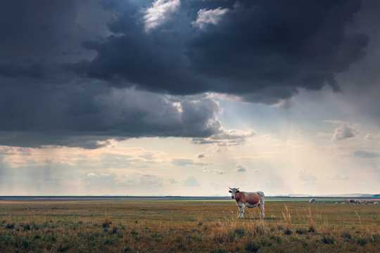 内蒙古乌拉盖原野光景图片