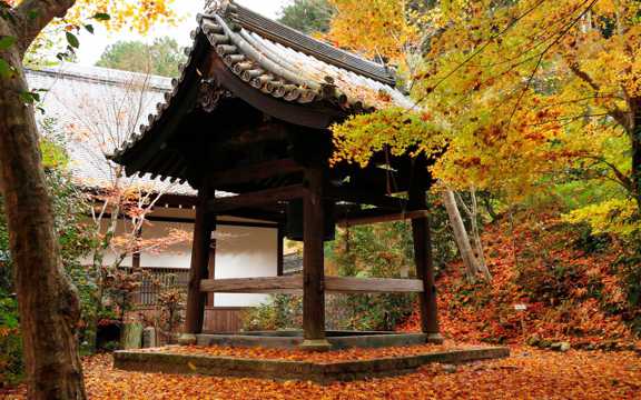京都圆光寺图片