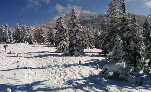 冬季高山雪地景象图片