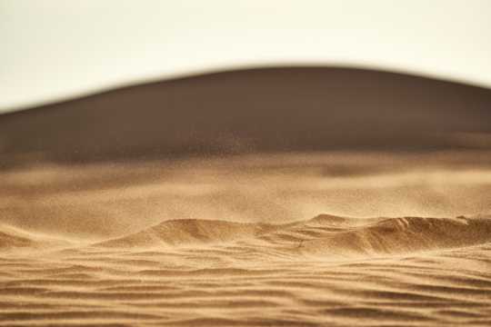 大漠上的沙子图片