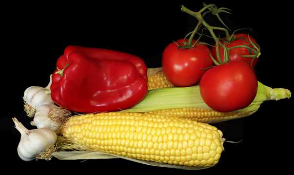 玉米蔬菜图片