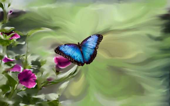 蓝色蝴蝶唯美境界图片
