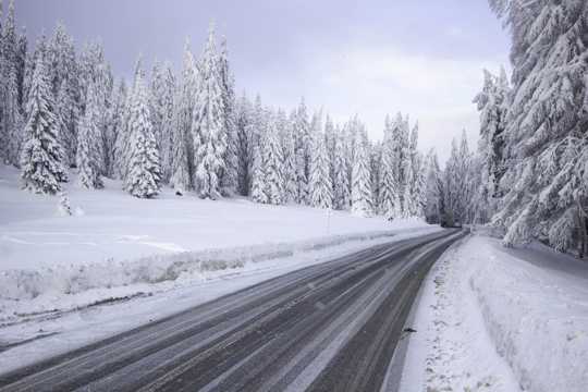 罗马尼亚树林雪景图片