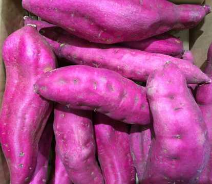 紫色番薯图片