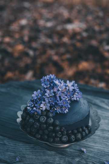 蓝莓水果花朵蛋糕图片