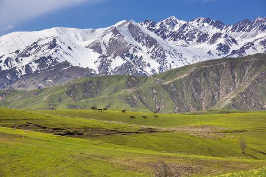 新疆大西沟景物图片