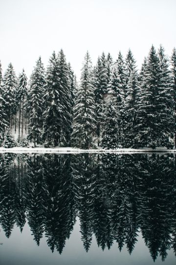 冬天丛林湖水倒影图片