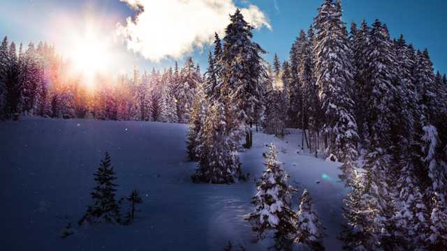 冬天早晨雪山景观图片