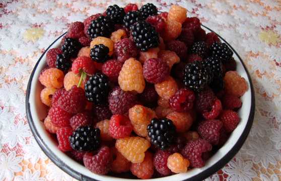 一碗红树莓图片