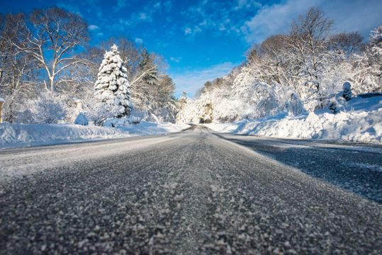 冬日丛林公路雪景图片