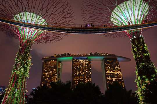新加坡滨海湾花园风光图片
