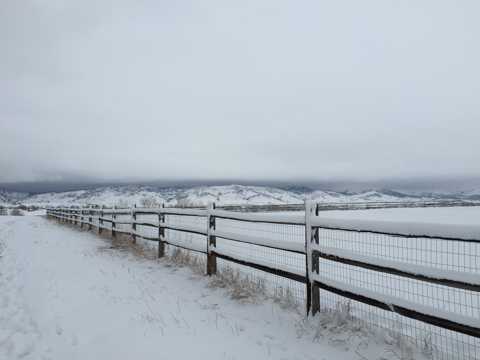 篱笆雪景图片