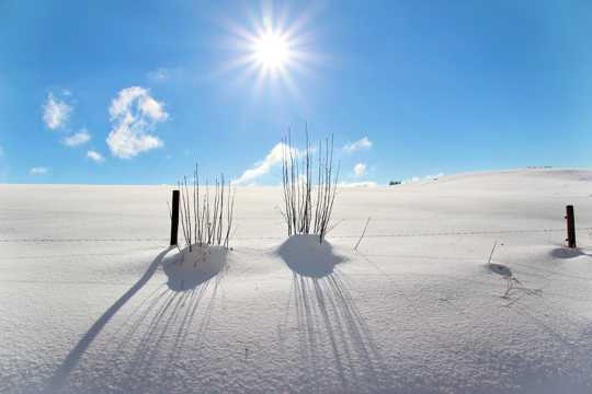 冬日唯美雪景图片