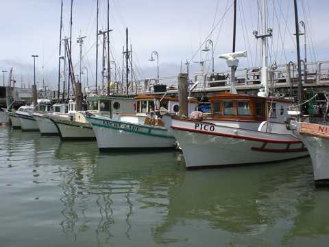 美国旧金山渔人码头景致图片