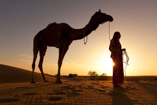 荒漠骆驼人物徒步图片