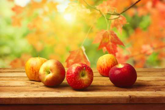 秋日的苹果图片