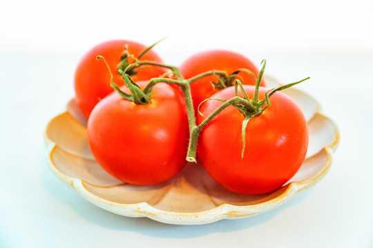 盘子里的番茄图片