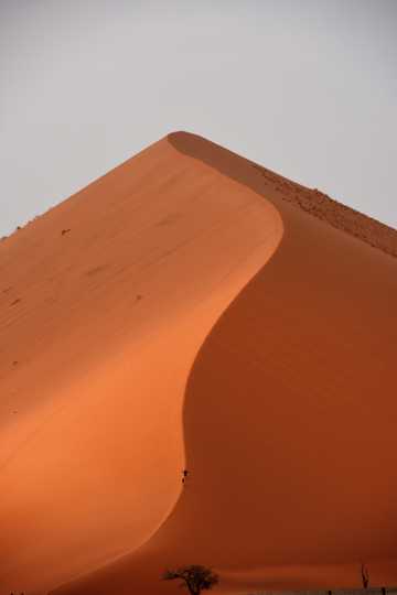 荒漠里的沙堆特写图片