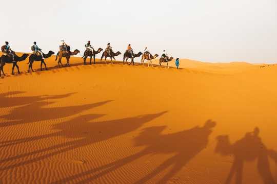 大漠骆驼队伍拍摄图片