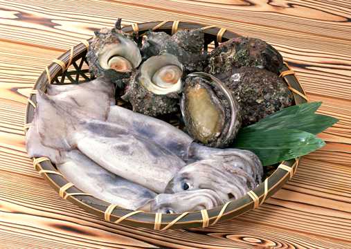贝壳海鲜食材图片