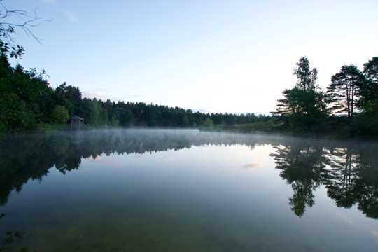 早晨绿色湖水图片