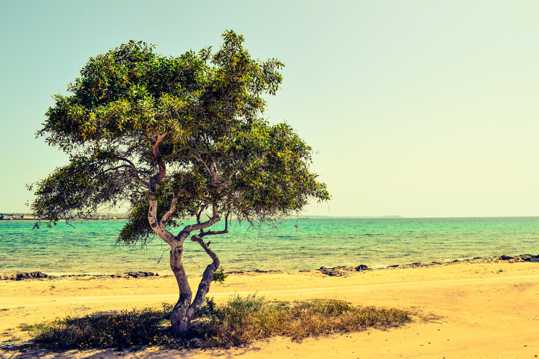 塞浦路斯海滨唯美景色