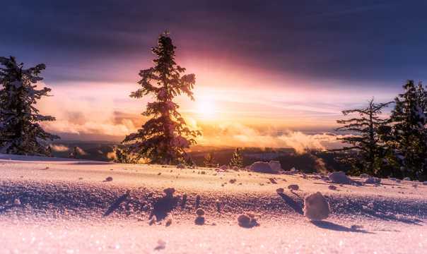 冬季朝阳风光图片