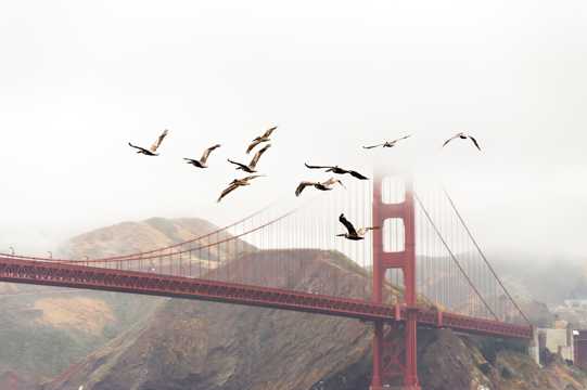 美国旧金山金门大桥景象图片