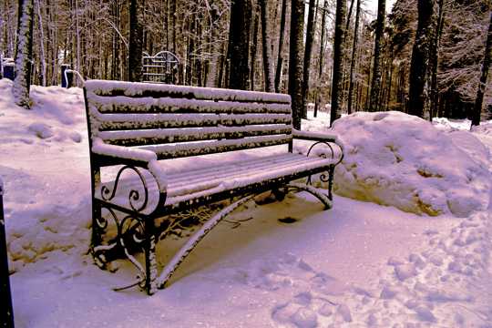 冬日雪地座椅积雪图片
