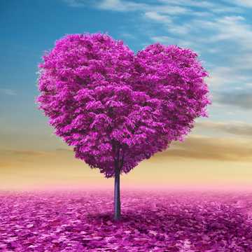 唯美紫色爱心树图片