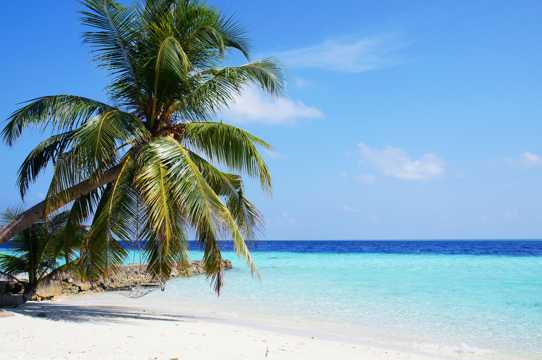 马尔代夫海岸自然风光图片