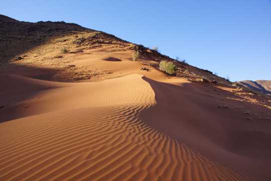 非洲沙漠景观图片