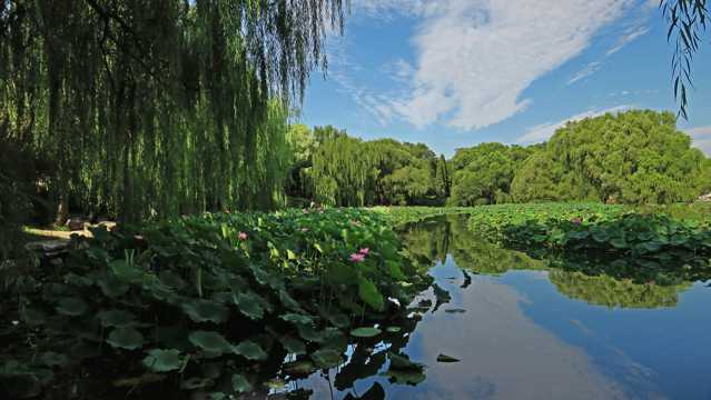 北京紫竹院公园风光图片