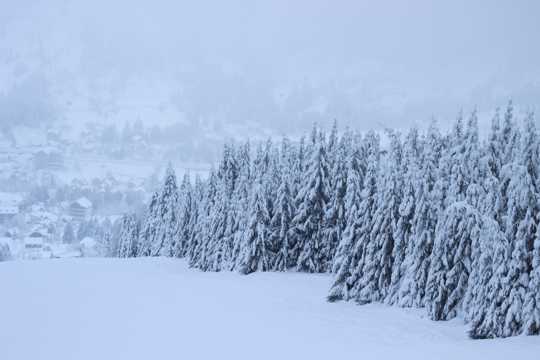 冬日白色积雪景观图片