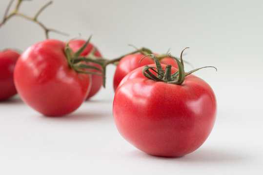 新鲜可口的番茄高清图片