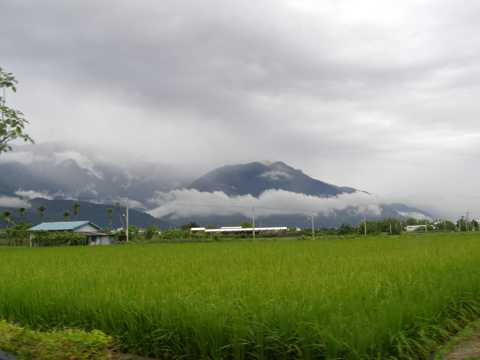 农村稻田景色图片