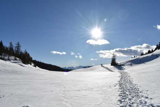 冬天雪地朝阳光景图片