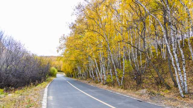 乌兰布统草地秋日自然景物图片