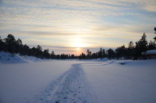 冬日朝阳雪景图片