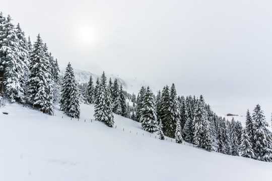 冬日雪景拍摄图片