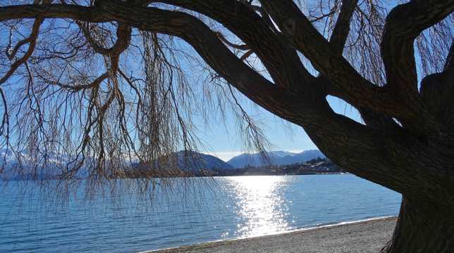 湖水树木自然风光图片